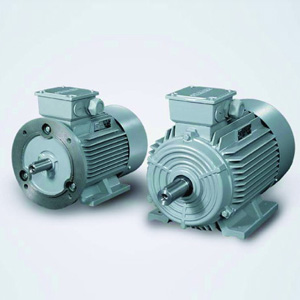 1LG0 Series motors