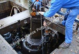 Sewage pump for Nigeria Customer