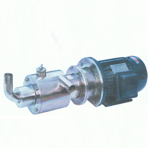CG Series Stainless Steel Screw Pump